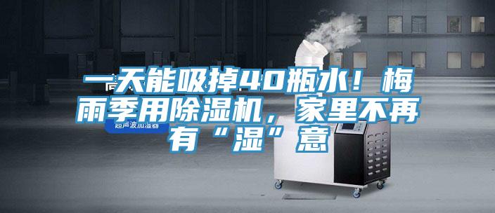 一天能吸掉40瓶水！梅雨季用除濕機，家里不再有“濕”意