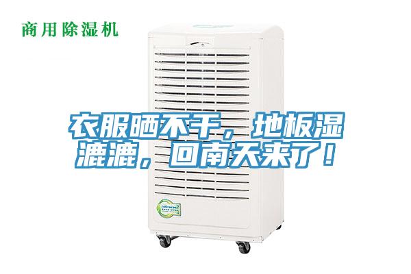 衣服曬不干，地板濕漉漉，回南天來了！