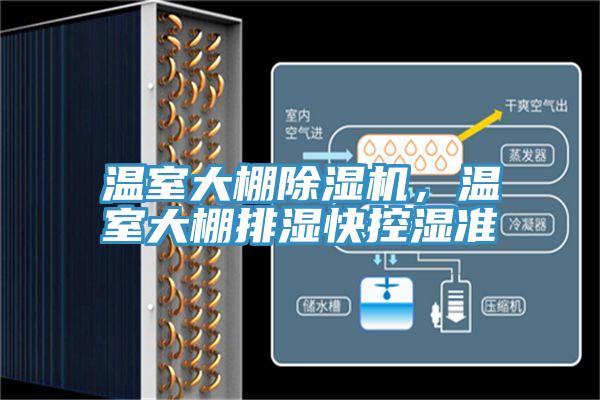 溫室大棚除濕機，溫室大棚排濕快控濕準