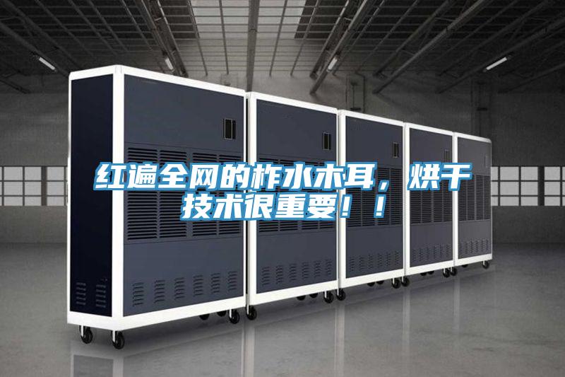 紅遍全網的柞水木耳，烘干技術很重要??！