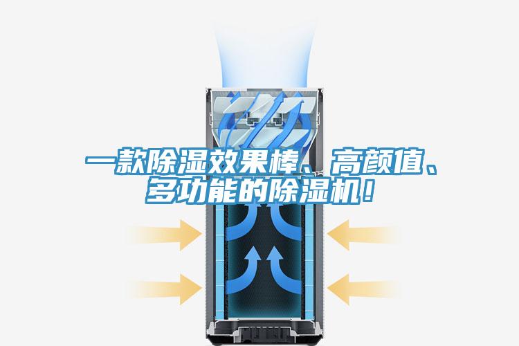 一款除濕效果棒、高顏值、多功能的除濕機！