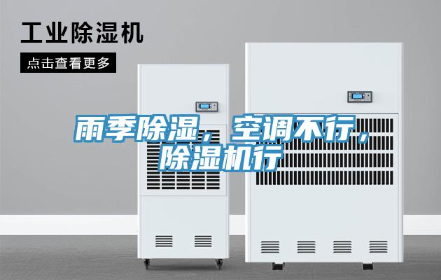 雨季除濕，空調(diào)不行，除濕機(jī)行
