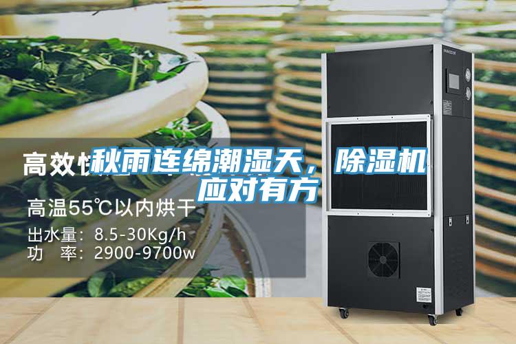 秋雨連綿潮濕天，除濕機應對有方