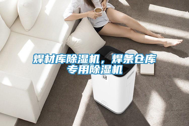 焊材庫(kù)除濕機(jī),焊條倉(cāng)庫(kù)專用除濕機(jī)