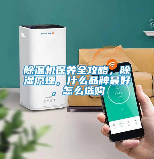 除濕機保養全攻略，除濕原理，什么品牌最好，怎么選購