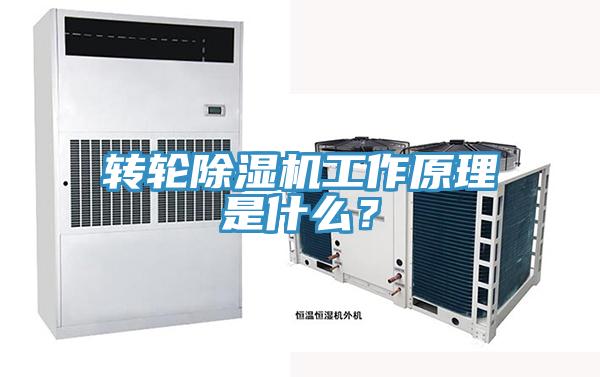 轉輪除濕機工作原理是什么？