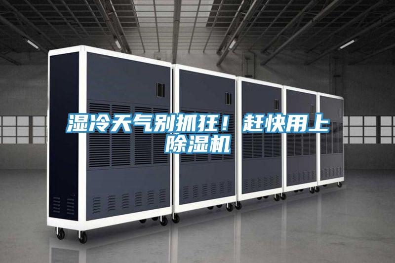 濕冷天氣別抓狂！趕快用上除濕機(jī)