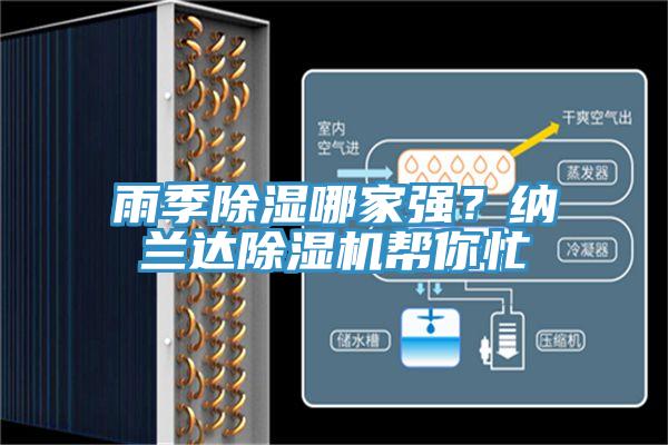 雨季除濕哪家強？納蘭達除濕機幫你忙