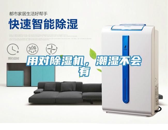 用對除濕機,潮濕不會有