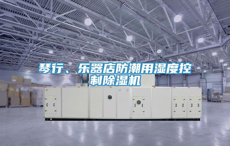 琴行、樂器店防潮用濕度控制除濕機(jī)