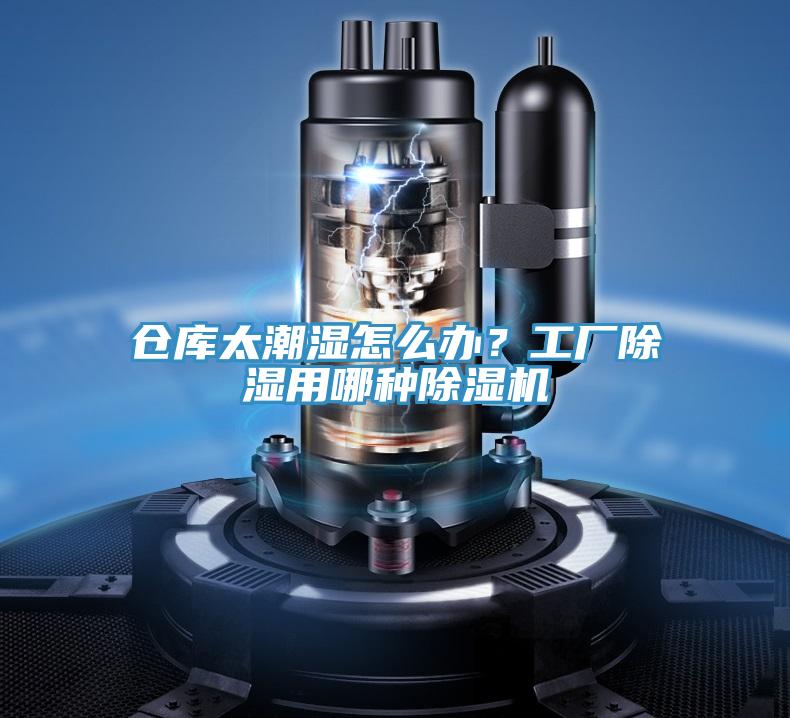 倉庫太潮濕怎么辦？工廠除濕用哪種除濕機