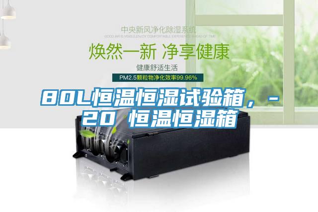 80L恒溫恒濕試驗(yàn)箱，-20℃恒溫恒濕箱