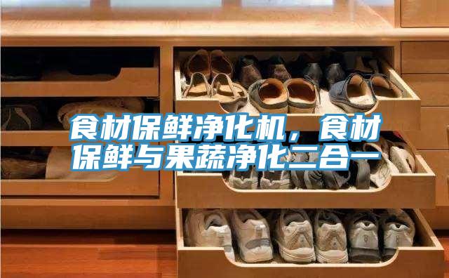 食材保鮮凈化機，食材保鮮與果蔬凈化二合一