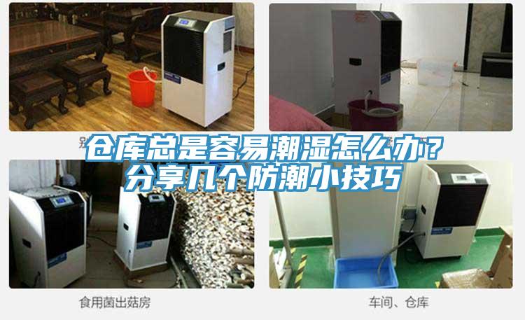 倉庫總是容易潮濕怎么辦？分享幾個防潮小技巧