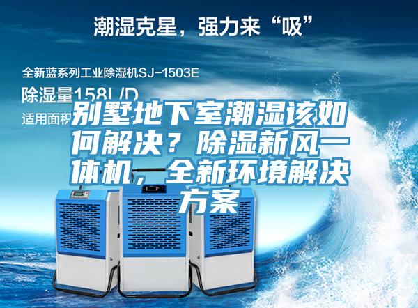 別墅地下室潮濕該如何解決？除濕新風一體機，全新環境解決方案