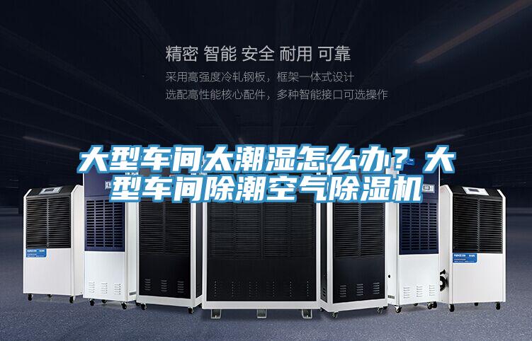 大型車間太潮濕怎么辦？大型車間除潮空氣除濕機