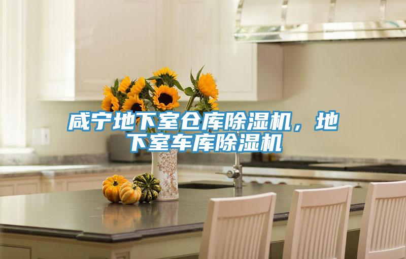 咸寧地下室倉(cāng)庫(kù)除濕機(jī)，地下室車(chē)庫(kù)除濕機(jī)