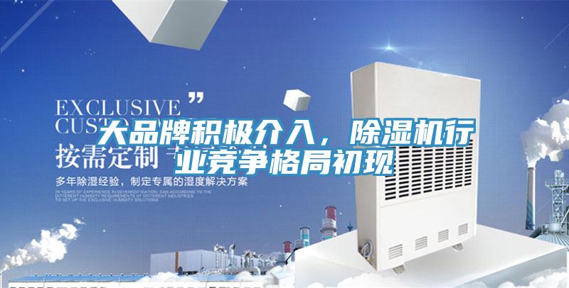 大品牌積極介入，除濕機(jī)行業(yè)競(jìng)爭(zhēng)格局初現(xiàn)