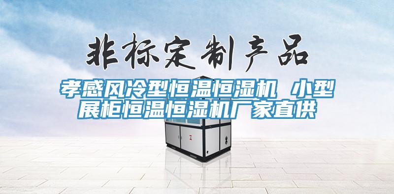 孝感風冷型恒溫恒濕機 小型展柜恒溫恒濕機廠家直供