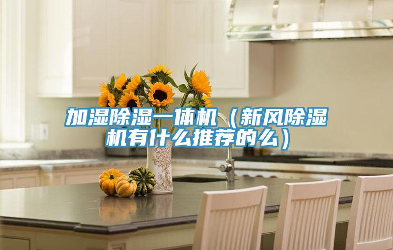 加濕除濕一體機(jī)（新風(fēng)除濕機(jī)有什么推薦的么）