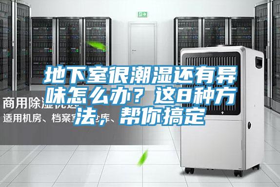 地下室很潮濕還有異味怎么辦？這8種方法，幫你搞定