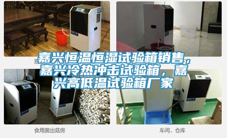 嘉興恒溫恒濕試驗箱銷售，嘉興冷熱沖擊試驗箱，嘉興高低溫試驗箱廠家