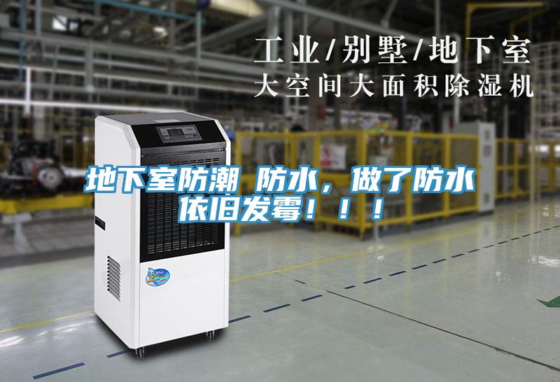 地下室防潮≠防水，做了防水依舊發霉?。?！