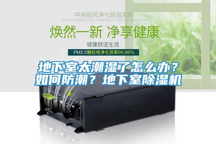 地下室太潮濕了怎么辦？如何防潮？地下室除濕機