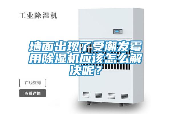 墻面出現(xiàn)了受潮發(fā)霉用除濕機應該怎么解決呢？