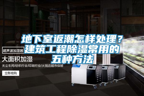 地下室返潮怎樣處理？建筑工程除濕常用的五種方法
