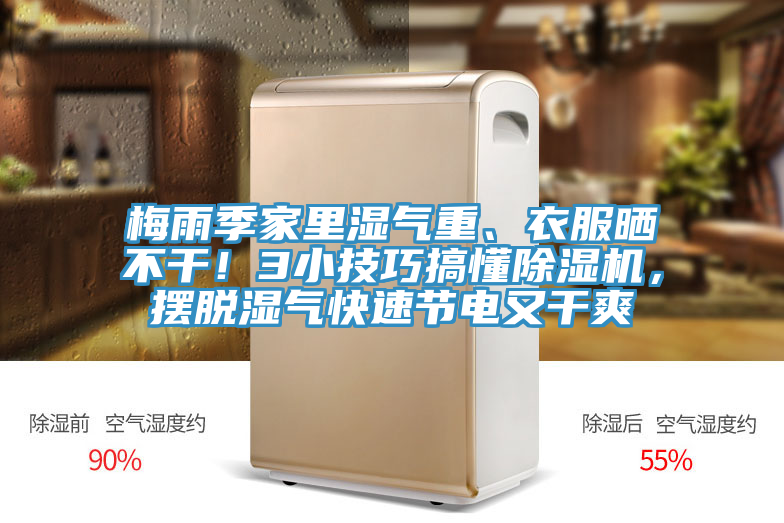 梅雨季家里濕氣重、衣服曬不干！3小技巧搞懂除濕機，擺脫濕氣快速節電又干爽