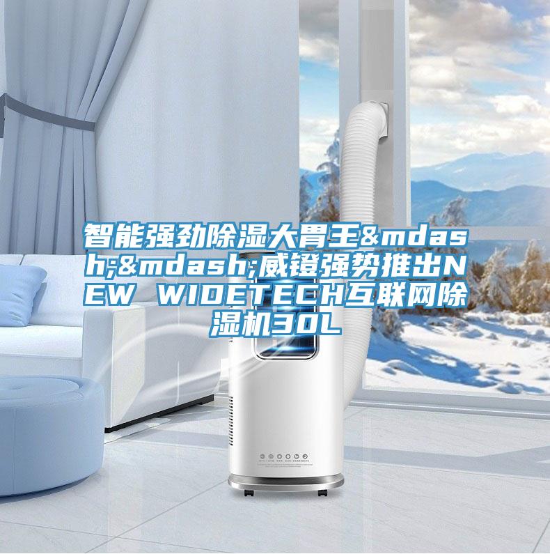 智能強勁除濕大胃王&mdash;&mdash;威鐙強勢推出NEW WIDETECH互聯(lián)網(wǎng)除濕機30L