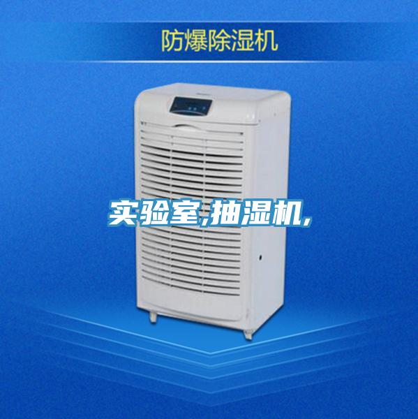 實驗室,抽濕機(jī),