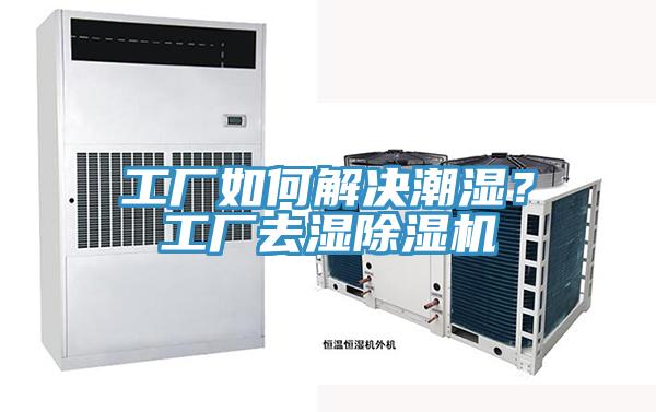 工廠如何解決潮濕?工廠去濕除濕機
