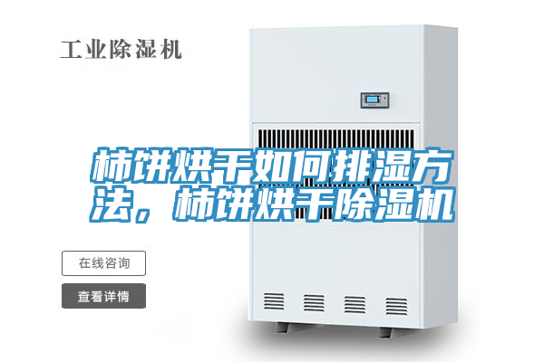 柿餅烘干如何排濕方法，柿餅烘干除濕機