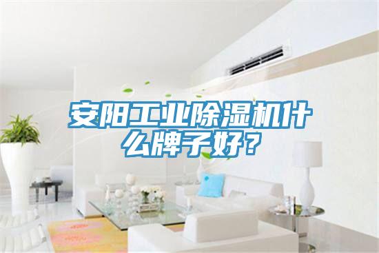 安陽工業除濕機什么牌子好？