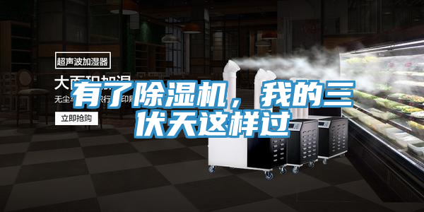 有了除濕機，我的三伏天這樣過