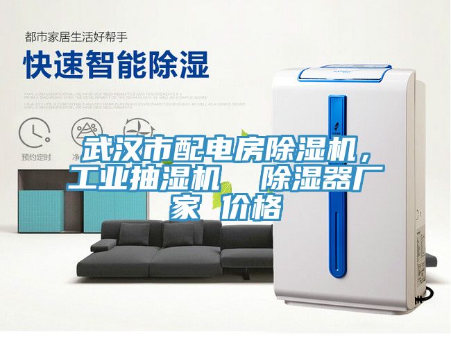 武漢市配電房除濕機，工業抽濕機  除濕器廠家 價格