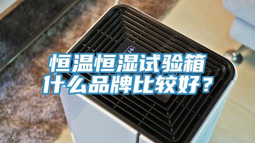 恒溫恒濕試驗(yàn)箱什么品牌比較好？