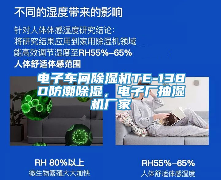 電子車間除濕機TE-138D防潮除濕，電子廠抽濕機廠家