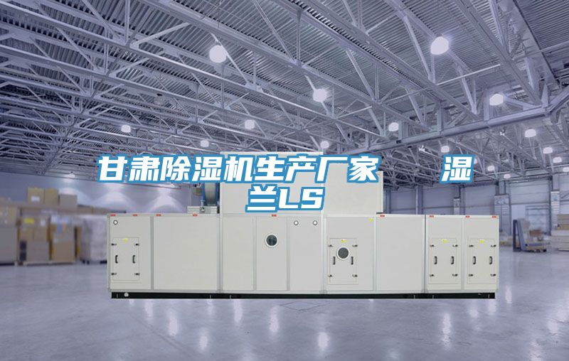 甘肅除濕機生產廠家 濕蘭LS