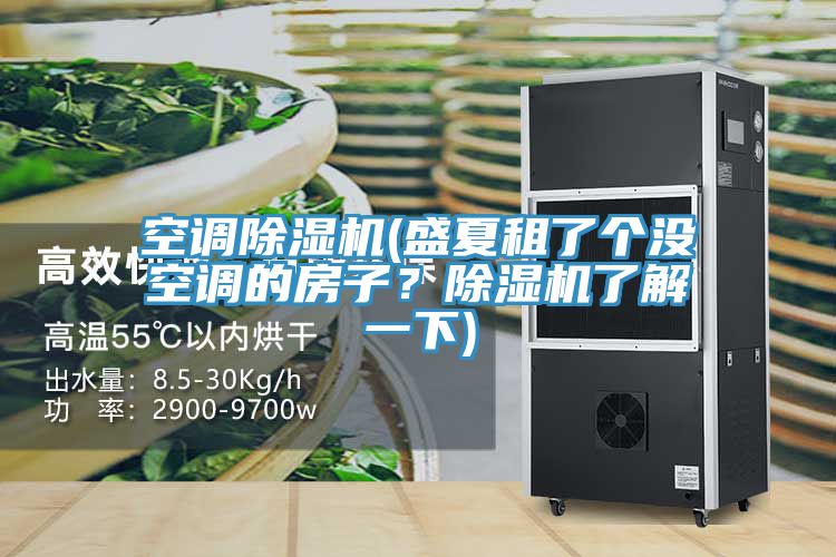 空調(diào)除濕機(jī)(盛夏租了個沒空調(diào)的房子？除濕機(jī)了解一下)