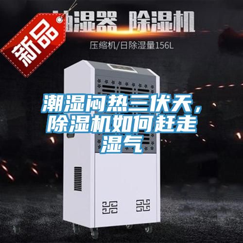 潮濕悶熱三伏天，除濕機如何趕走濕氣