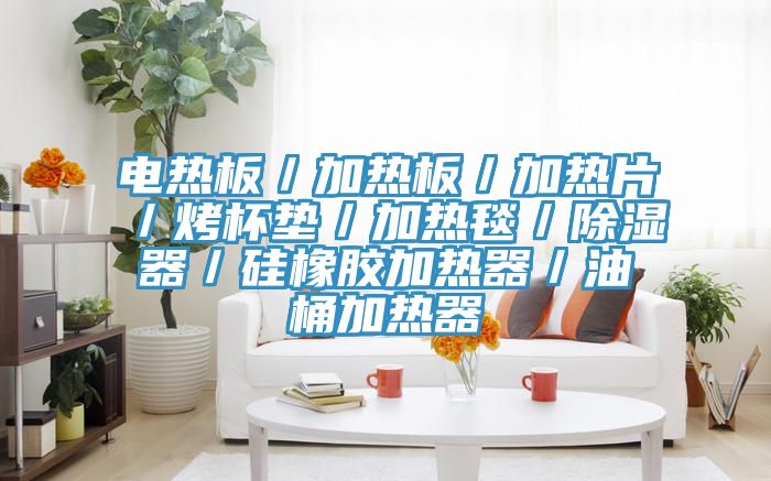 電熱板/加熱板/加熱片/烤杯墊/加熱毯/除濕器/硅橡膠加熱器/油桶加熱器