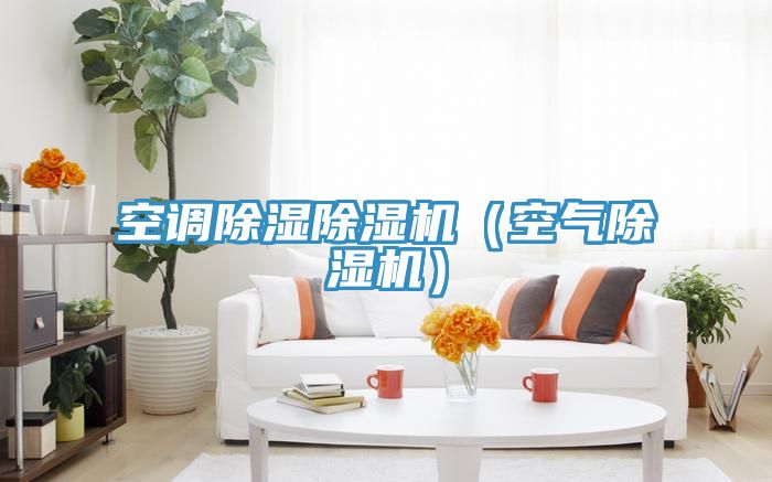 空調(diào)除濕除濕機(jī)(空氣除濕機(jī))