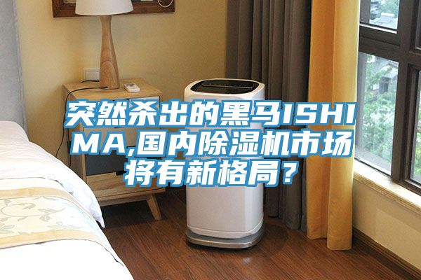 突然殺出的黑馬ISHIMA,國內除濕機市場將有新格局？