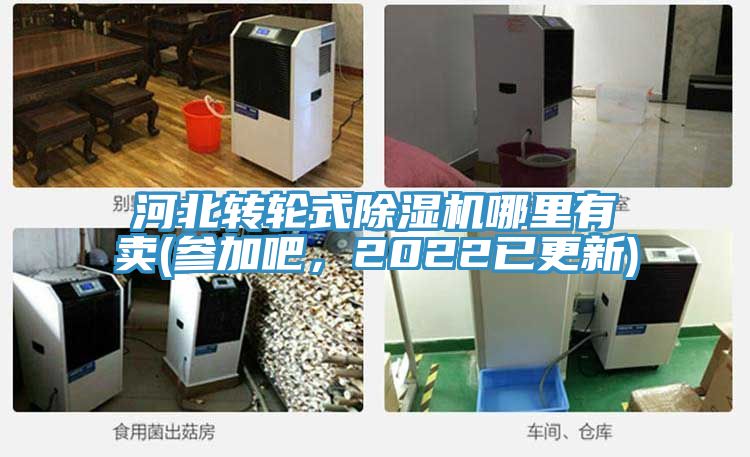 河北轉(zhuǎn)輪式除濕機哪里有賣(參加吧,2022已更新)