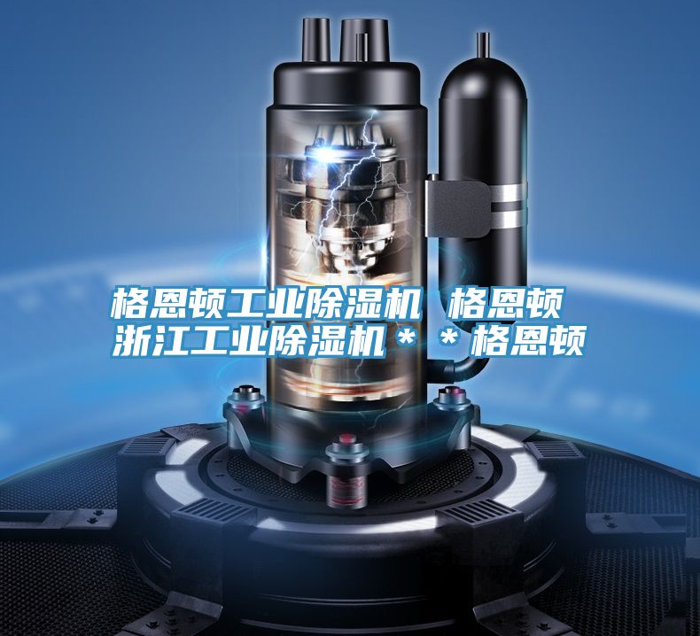 格恩頓工業(yè)除濕機(jī) 格恩頓 浙江工業(yè)除濕機(jī)**格恩頓