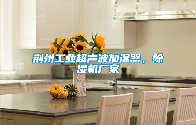 荊州工業(yè)超聲波加濕器,除濕機(jī)廠家