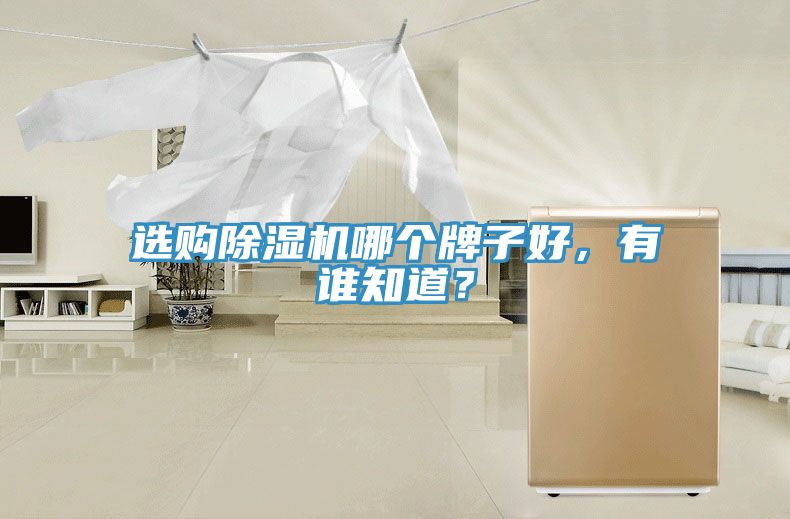 選購除濕機(jī)哪個牌子好,有誰知道?